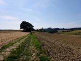  Wanderroute nach Neukl 
